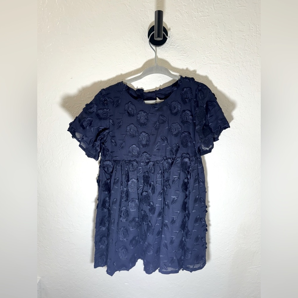 Janie and Jack Clipped Fringe Floral Jacquard Dress Size 3T